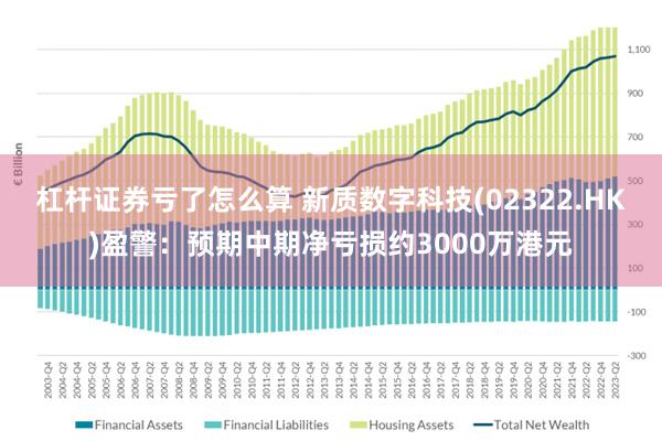 杠杆证券亏了怎么算 新质数字科技(02322.HK)盈警：预期中期净亏损约3000万港元
