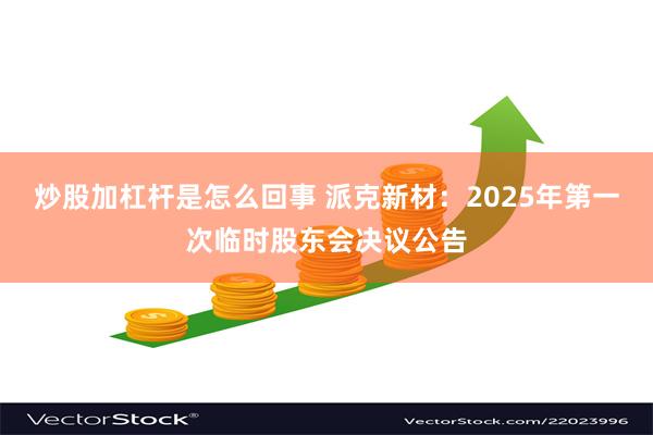 炒股加杠杆是怎么回事 派克新材：2025年第一次临时股东会决议公告