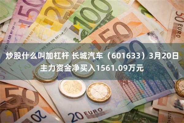 炒股什么叫加杠杆 长城汽车（601633）3月20日主力资金净买入1561.09万元