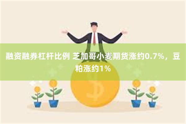 融资融券杠杆比例 芝加哥小麦期货涨约0.7%，豆粕涨约1%
