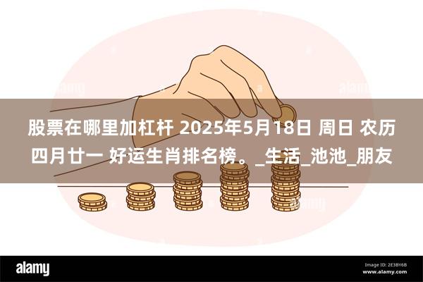股票在哪里加杠杆 2025年5月18日 周日 农历四月廿一 好运生肖排名榜。_生活_池池_朋友