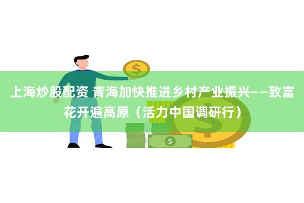 上海炒股配资 青海加快推进乡村产业振兴——致富花开遍高原（活力中国调研行）