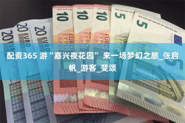 配资365 游“嘉兴夜花园” 来一场梦幻之旅_张启帆_游客_斐颂