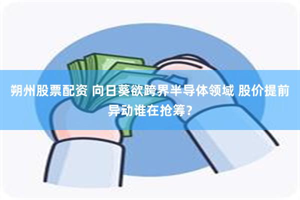 朔州股票配资 向日葵欲跨界半导体领域 股价提前异动谁在抢筹？