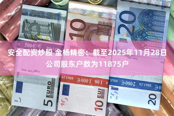 安全配资炒股 金杨精密：截至2025年11月28日公司股东户数为11875户