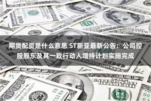 期货配资是什么意思 ST新亚最新公告：公司控股股东及其一致行动人增持计划实施完成