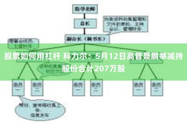 股票如何用杠杆 科力尔：5月12日高管聂鹏举减持股份合计207万股