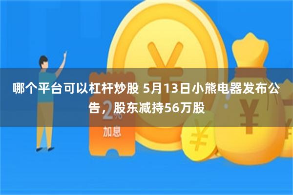 哪个平台可以杠杆炒股 5月13日小熊电器发布公告，股东减持56万股