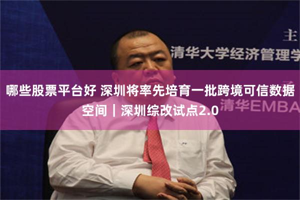 哪些股票平台好 深圳将率先培育一批跨境可信数据空间｜深圳综改试点2.0