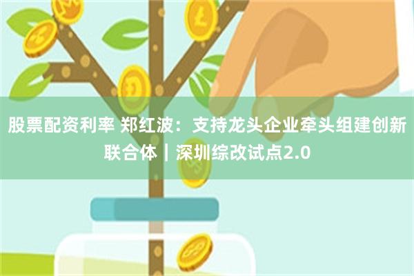 股票配资利率 郑红波:支持龙头企业牵头组建创新联合体|深圳综改试点2.0