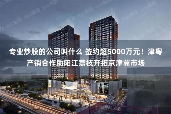 专业炒股的公司叫什么 签约超5000万元！津粤产销合作助阳江荔枝开拓京津冀市场