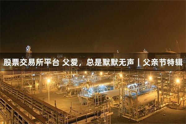 股票交易所平台 父爱，总是默默无声｜父亲节特辑