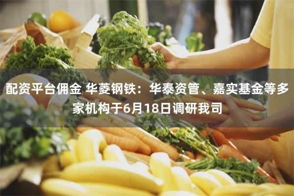 配资平台佣金 华菱钢铁：华泰资管、嘉实基金等多家机构于6月18日调研我司