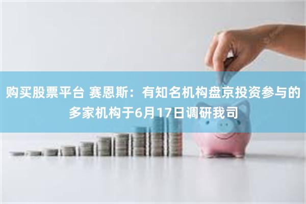 购买股票平台 赛恩斯：有知名机构盘京投资参与的多家机构于6月17日调研我司