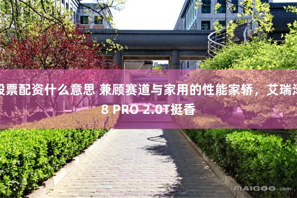 股票配资什么意思 兼顾赛道与家用的性能家轿，艾瑞泽8 PRO 2.0T挺香