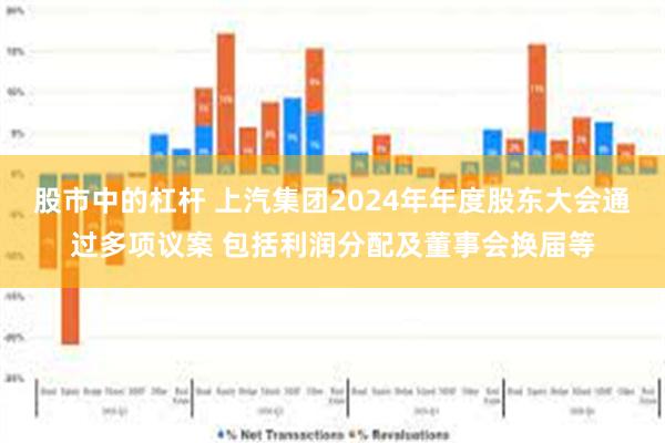 股市中的杠杆 上汽集团2024年年度股东大会通过多项议案 包括利润分配及董事会换届等