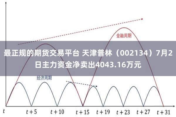 最正规的期货交易平台 天津普林（002134）7月2日主力资金净卖出4043.16万元