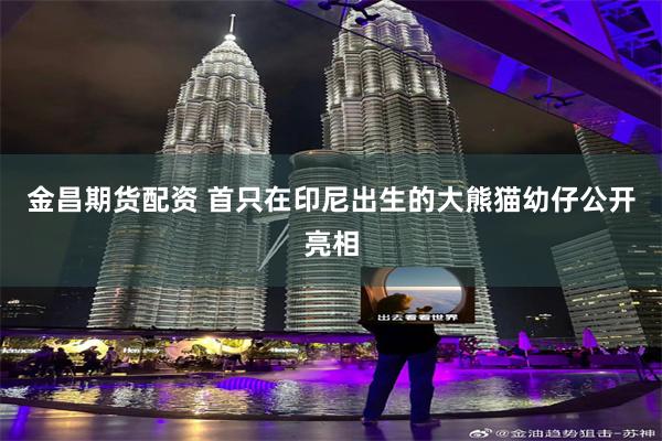金昌期货配资 首只在印尼出生的大熊猫幼仔公开亮相