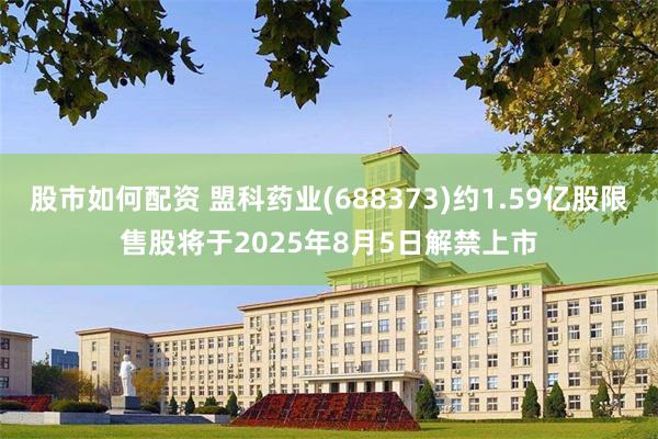 股市如何配资 盟科药业(688373)约1.59亿股限售股将于2025年8月5日解禁上市