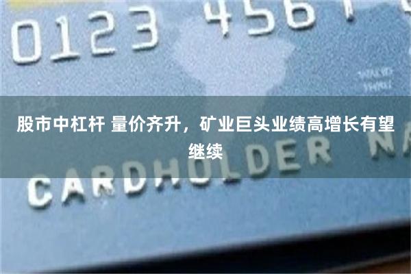 股市中杠杆 量价齐升，矿业巨头业绩高增长有望继续