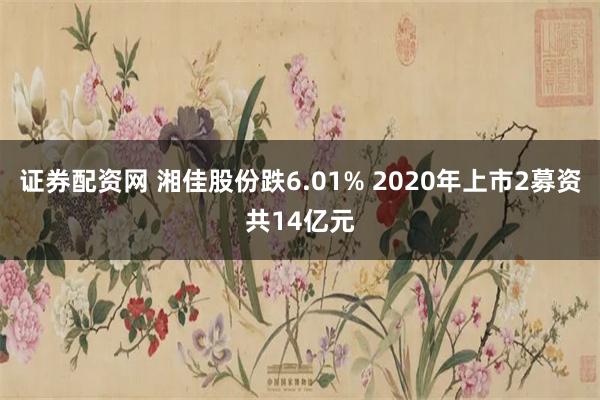 证券配资网 湘佳股份跌6.01% 2020年上市2募资共14亿元