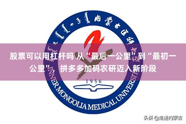 股票可以用杠杆吗 从“最后一公里”到“最初一公里”，拼多多加码农研迈入新阶段
