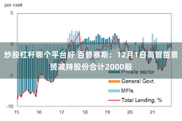 炒股杠杆哪个平台好 百普赛斯：12月1日高管苗景赟减持股份合计2000股