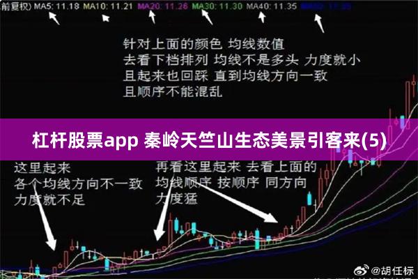 杠杆股票app 秦岭天竺山生态美景引客来(5)