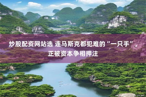 炒股配资网站选 连马斯克都犯难的“一只手”，正被资本争相押注