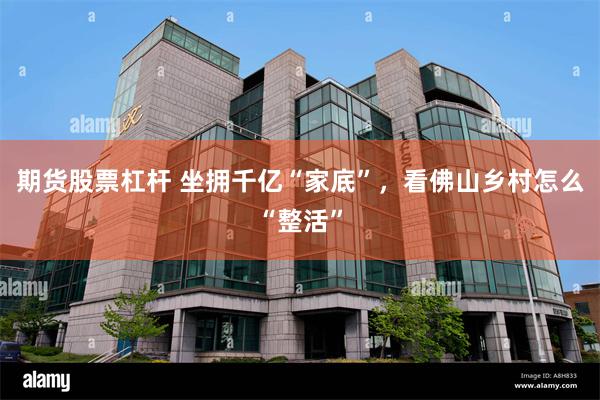 期货股票杠杆 坐拥千亿“家底”,看佛山乡村怎么“整活”