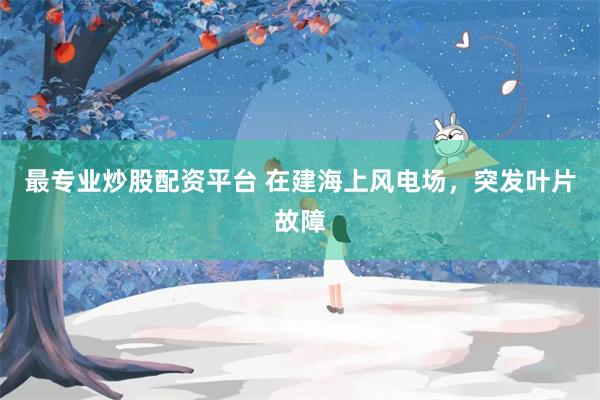 最专业炒股配资平台 在建海上风电场,突发叶片故障