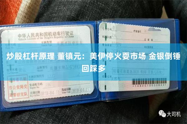 炒股杠杆原理 董镇元：美伊停火耍市场 金银倒锤回踩多