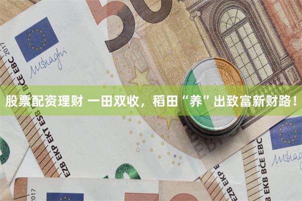 股票配资理财 一田双收，稻田“养”出致富新财路！