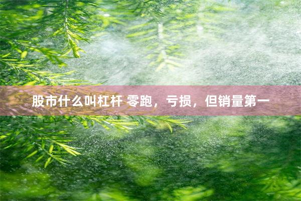 股市什么叫杠杆 零跑，亏损，但销量第一