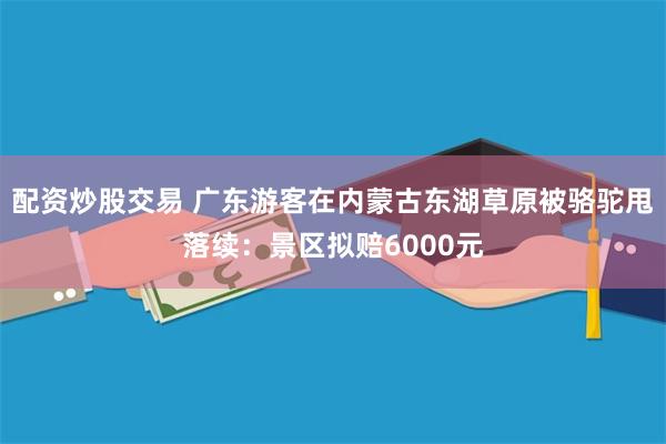配资炒股交易 广东游客在内蒙古东湖草原被骆驼甩落续：景区拟赔6000元