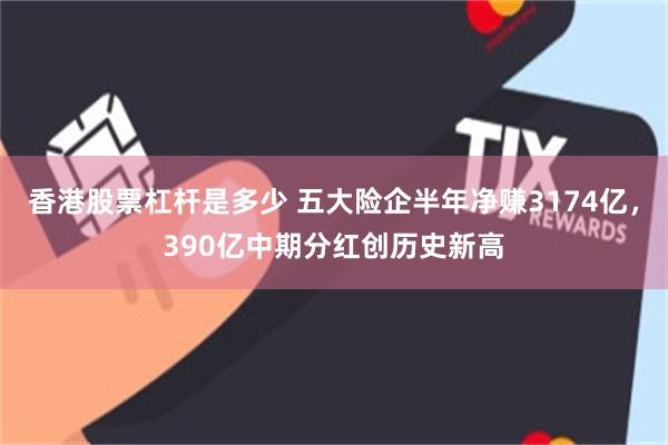 香港股票杠杆是多少 五大险企半年净赚3174亿，390亿中期分红创历史新高