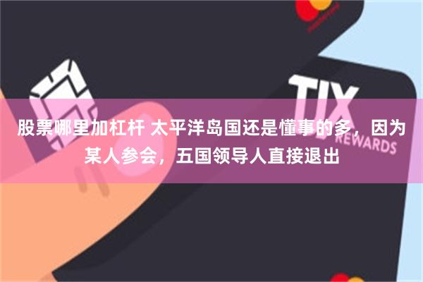股票哪里加杠杆 太平洋岛国还是懂事的多，因为某人参会，五国领导人直接退出