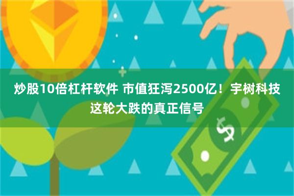 炒股10倍杠杆软件 市值狂泻2500亿！宇树科技这轮大跌的真正信号