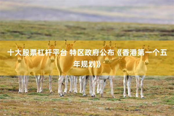 十大股票杠杆平台 特区政府公布《香港第一个五年规划》