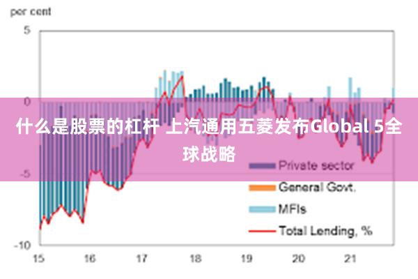 什么是股票的杠杆 上汽通用五菱发布Global 5全球战略