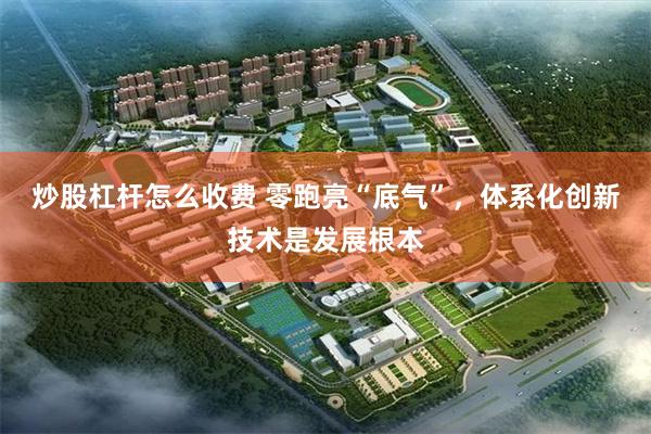 炒股杠杆怎么收费 零跑亮“底气”,体系化创新技术是发展根本