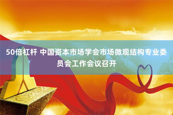 50倍杠杆 中国资本市场学会市场微观结构专业委员会工作会议召开