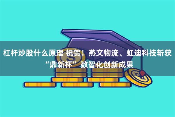 杠杆炒股什么原理 祝贺！燕文物流、虹迪科技斩获 “鼎新杯” 数智化创新成果