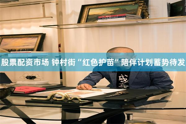股票配资市场 钟村街“红色护苗”陪伴计划蓄势待发