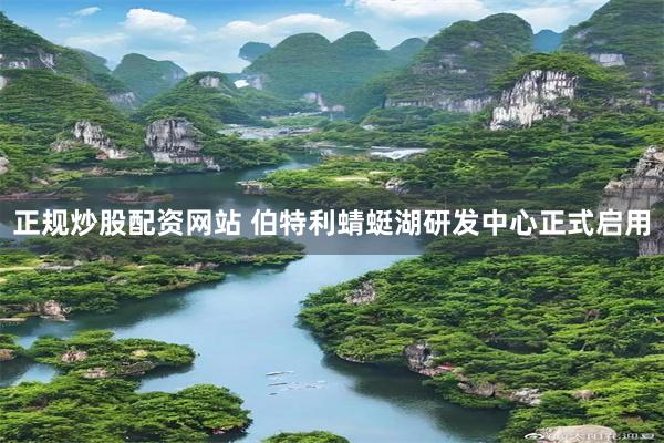 正规炒股配资网站 伯特利蜻蜓湖研发中心正式启用