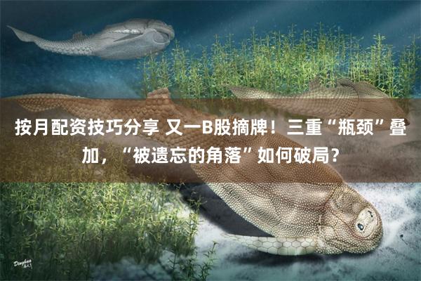按月配资技巧分享 又一B股摘牌！三重“瓶颈”叠加，“被遗忘的角落”如何破局？