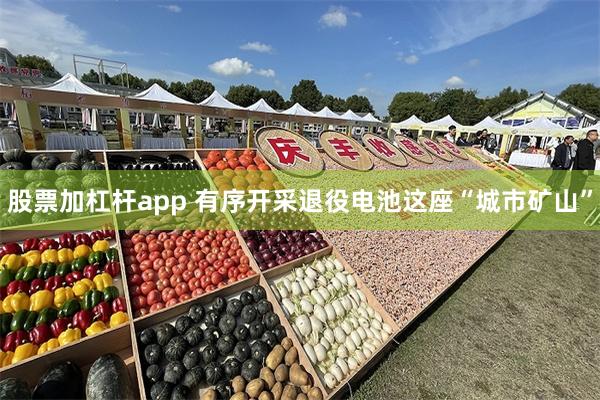 股票加杠杆app 有序开采退役电池这座“城市矿山”